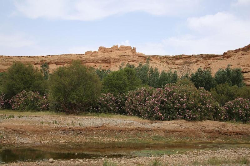 Maison d'hôte Tizwiyate Dades image