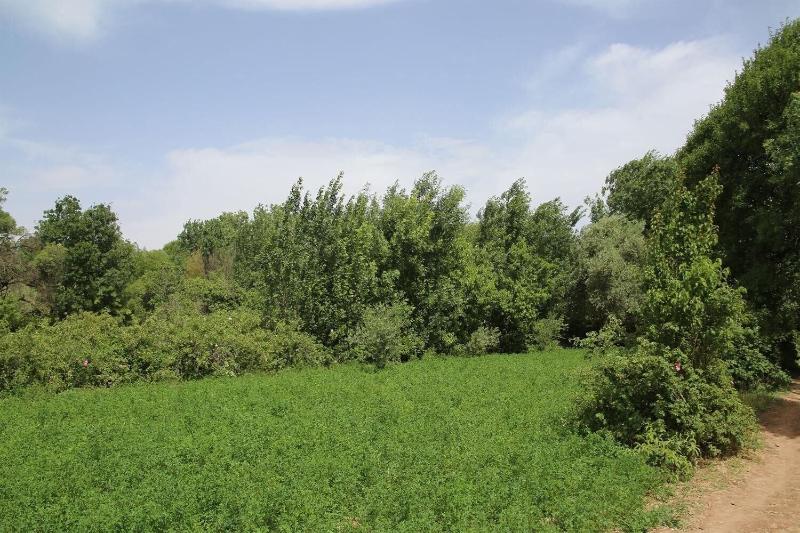 Maison d'hôte Tizwiyate Dades image