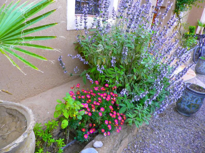 Auberge La Fibule Du Dades image