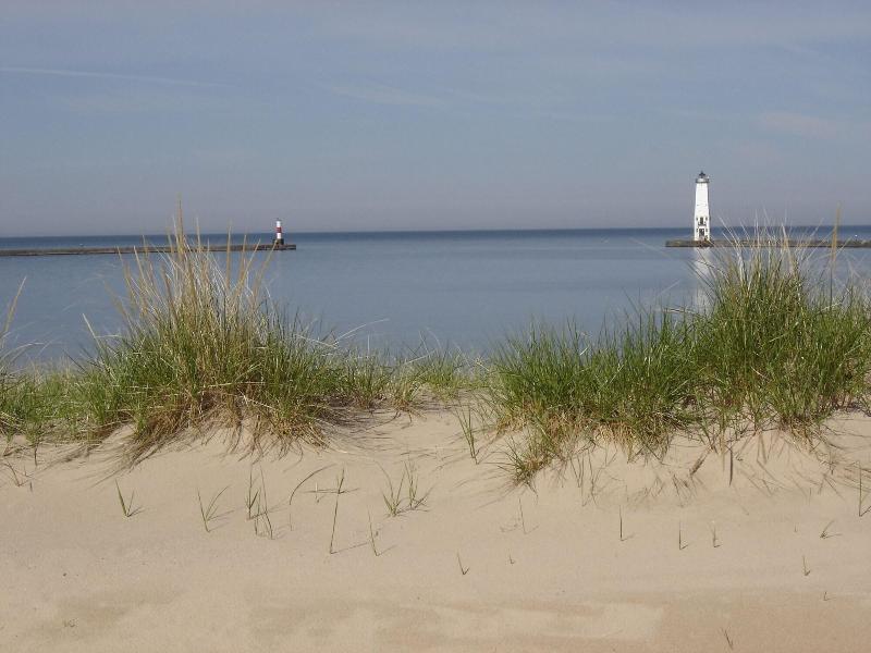 Harbor Lights Resort