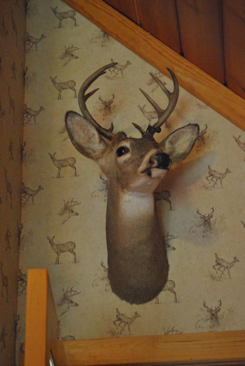 Horton Creek Inn Bed And Breakfast image