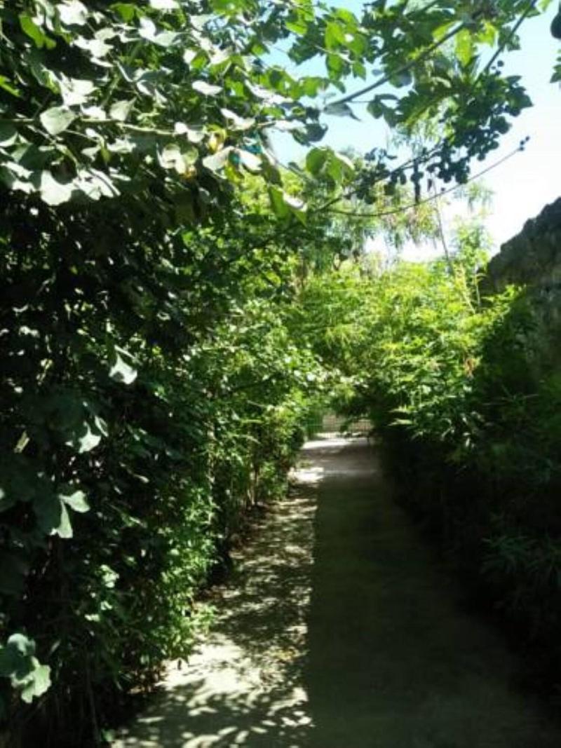 Cingaki Hotel image