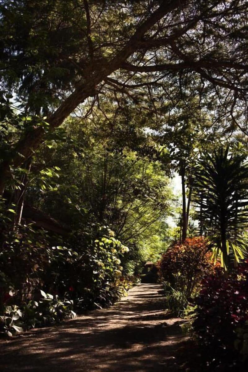 Abay Minch Lodge image