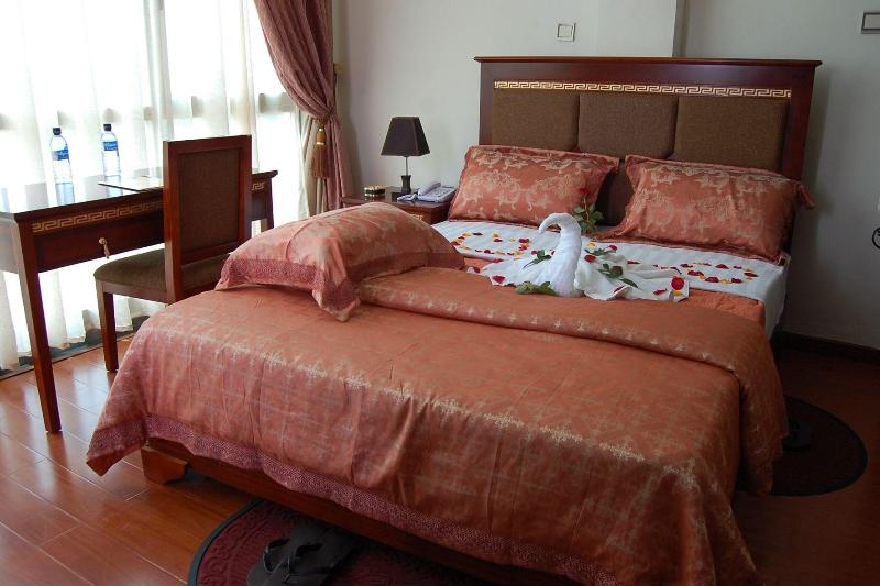 Addis Amba Hotel image