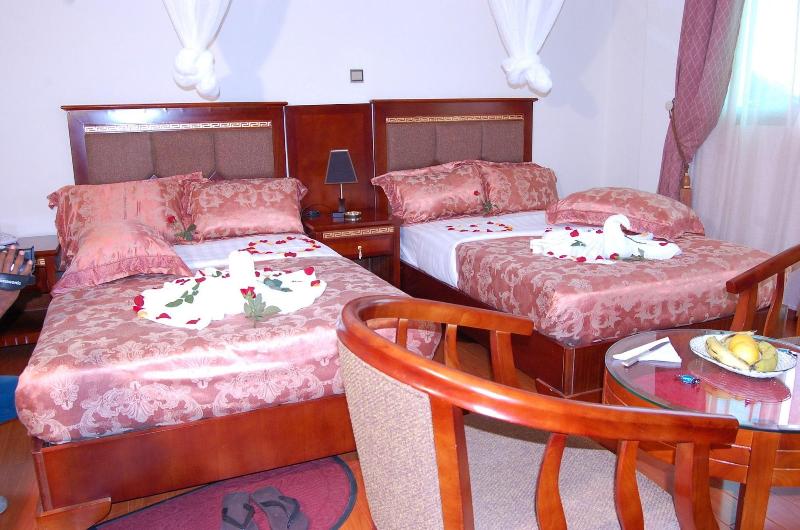 Addis Amba Hotel image