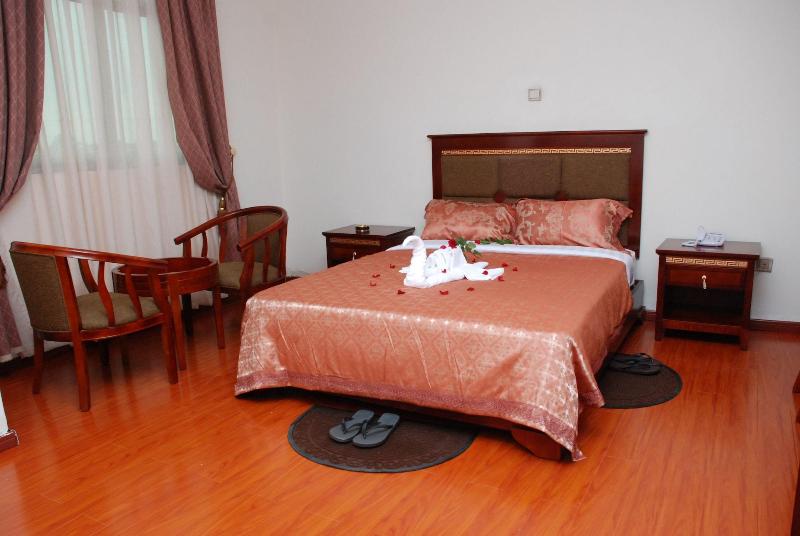 Addis Amba Hotel image