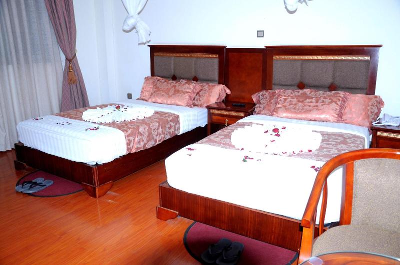Addis Amba Hotel image 8