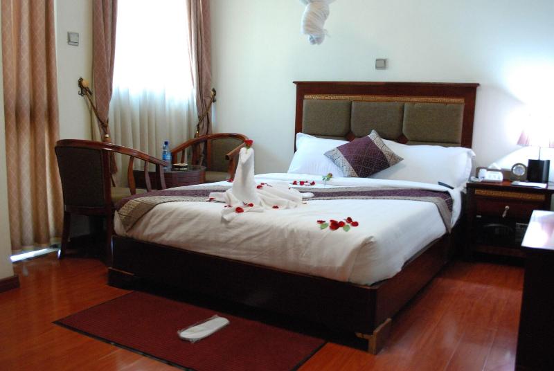 Addis Amba Hotel image