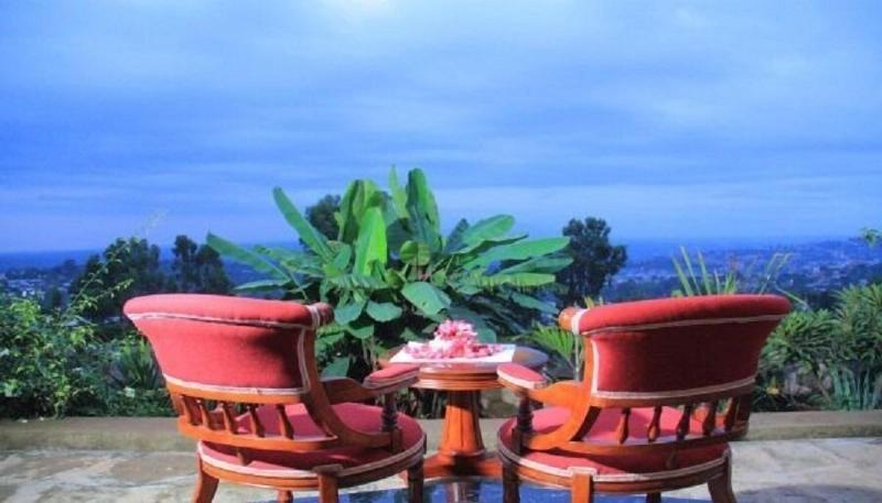 Lewi Resort Wolayita image