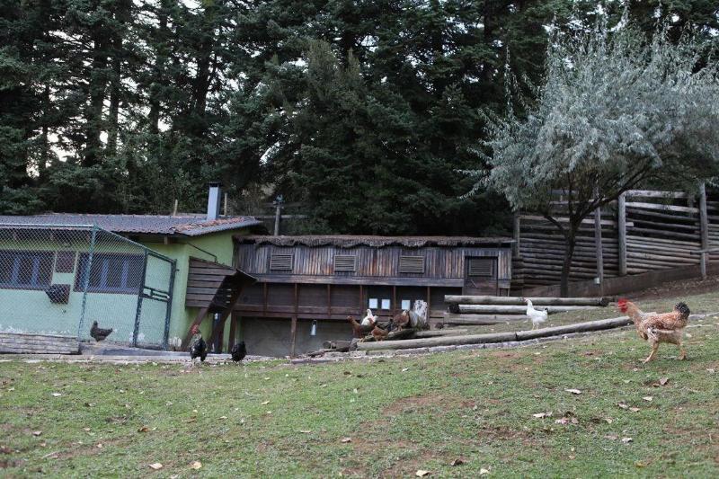 Vasilikia Mountain Farm & Retreat image