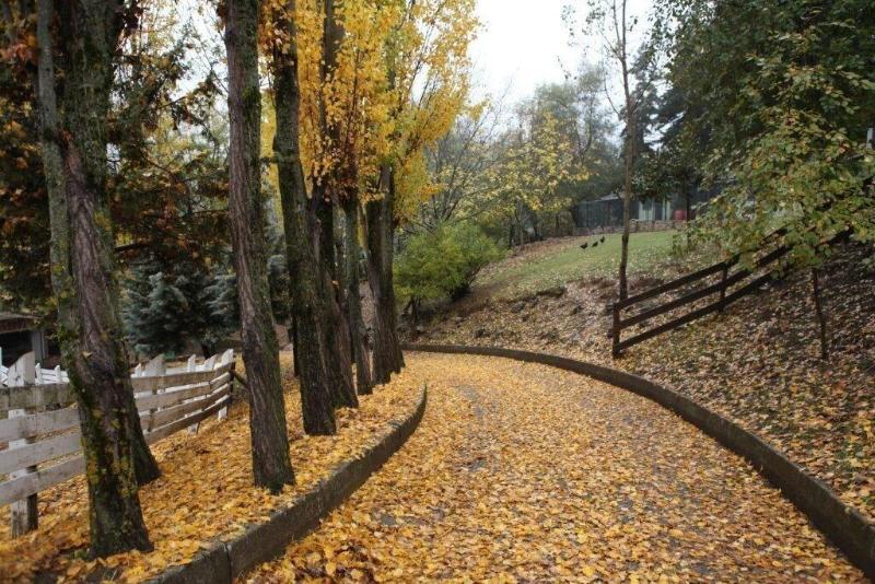 Vasilikia Mountain Farm & Retreat image