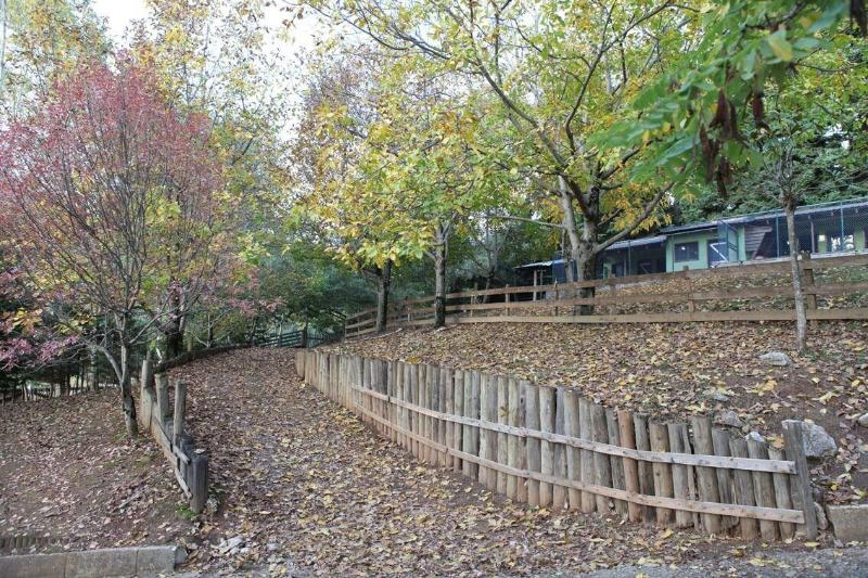 Vasilikia Mountain Farm & Retreat image