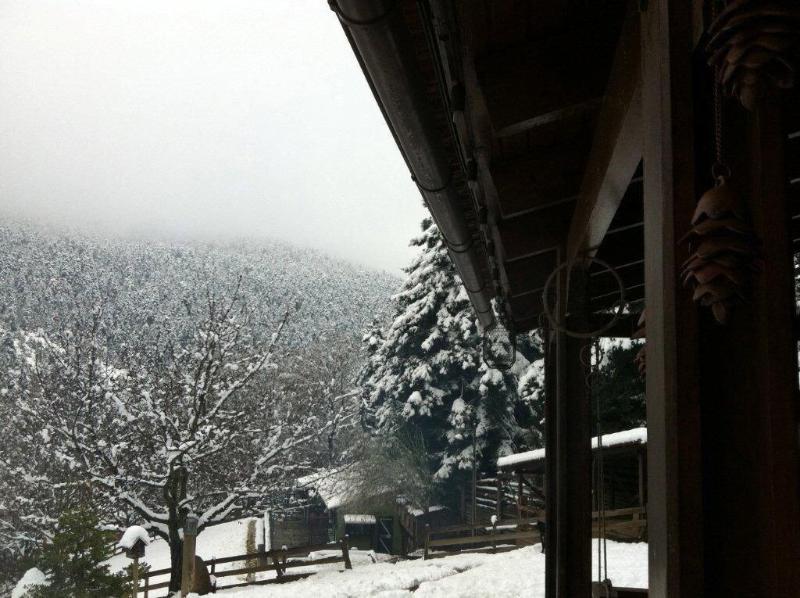 Vasilikia Mountain Farm & Retreat image