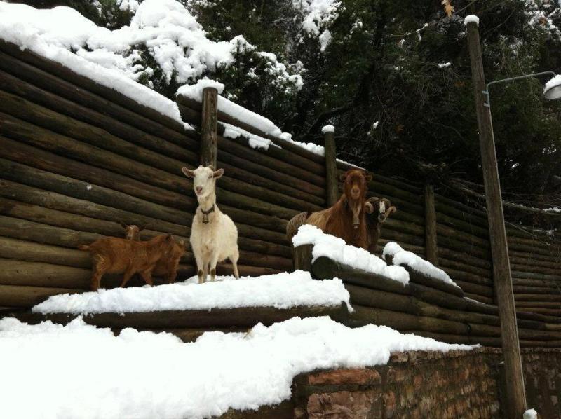 Vasilikia Mountain Farm & Retreat image