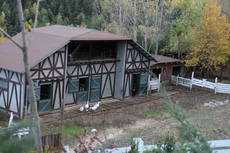 Vasilikia Mountain Farm & Retreat image