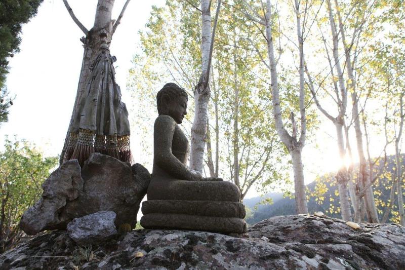 Vasilikia Mountain Farm & Retreat image