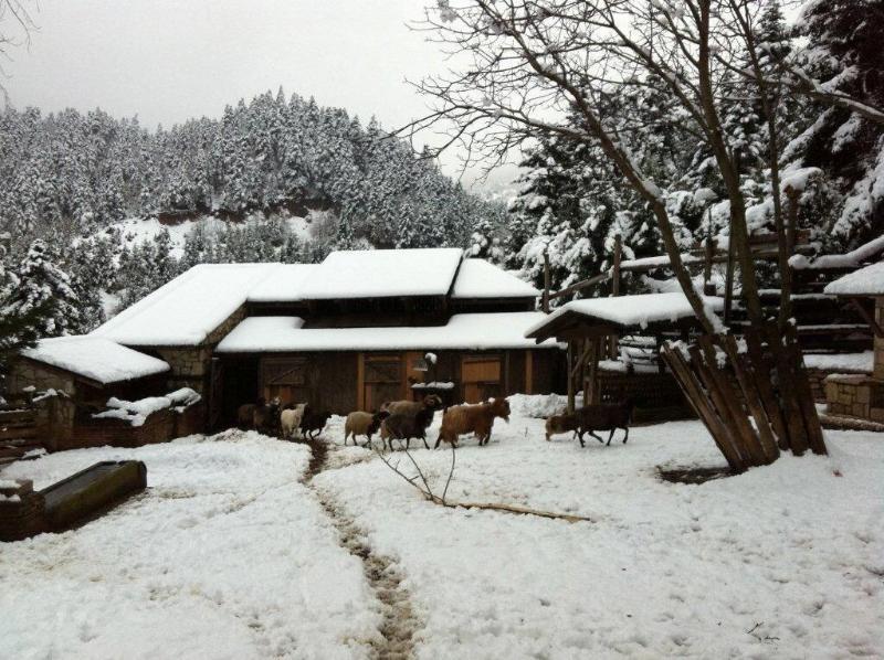 Vasilikia Mountain Farm & Retreat image
