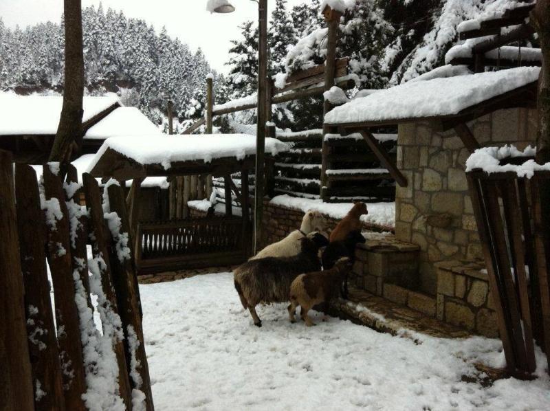 Vasilikia Mountain Farm & Retreat image