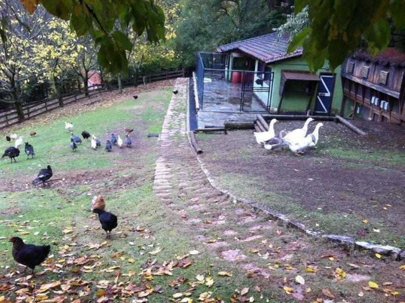 Vasilikia Mountain Farm & Retreat image