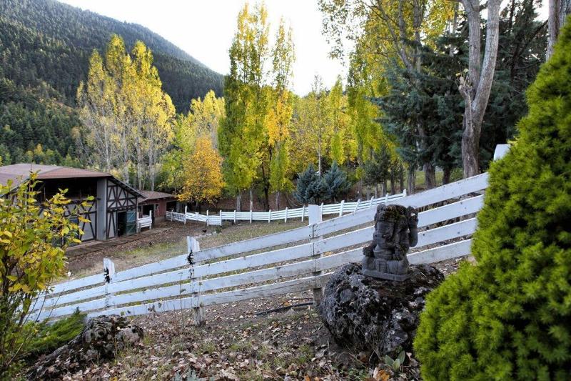 Vasilikia Mountain Farm & Retreat image