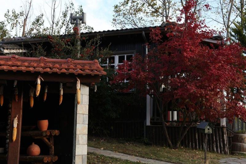 Vasilikia Mountain Farm & Retreat image