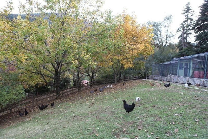 Vasilikia Mountain Farm & Retreat image