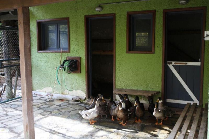 Vasilikia Mountain Farm & Retreat image