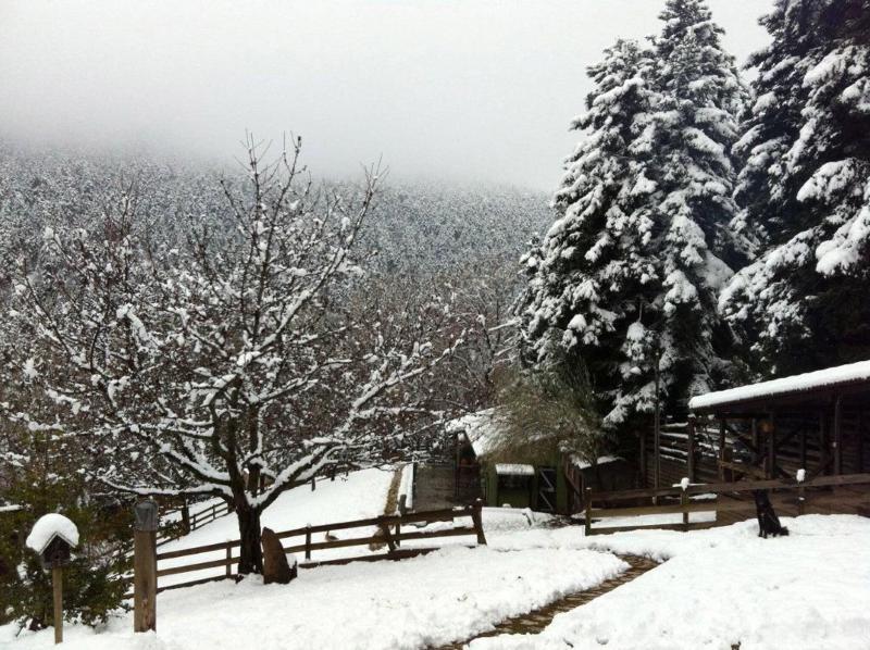 Vasilikia Mountain Farm & Retreat image