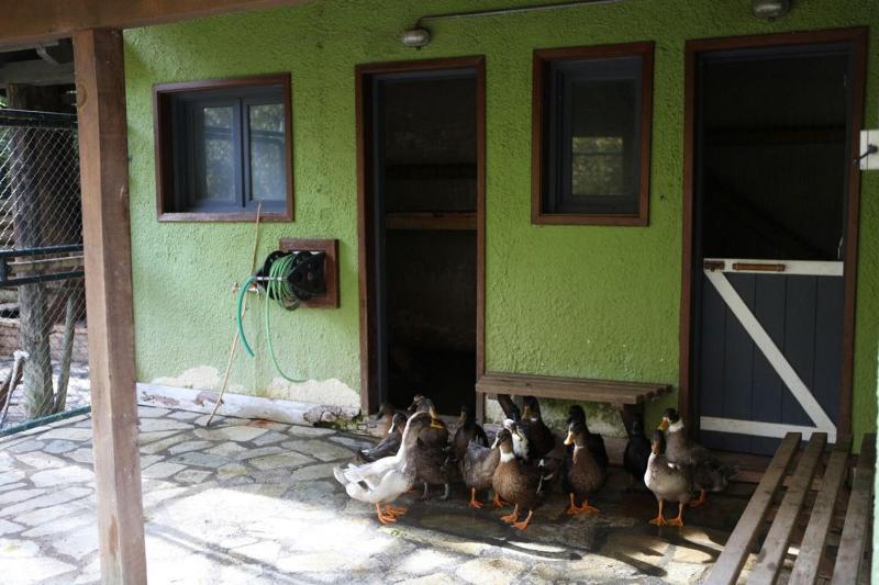 Vasilikia Mountain Farm & Retreat image