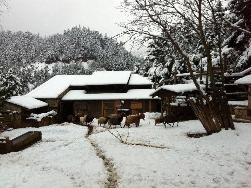 Vasilikia Mountain Farm & Retreat image