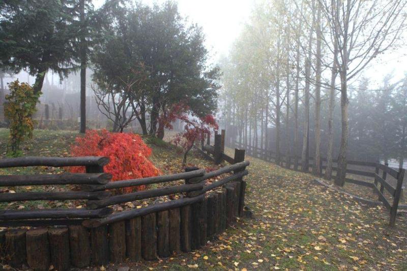 Vasilikia Mountain Farm & Retreat image
