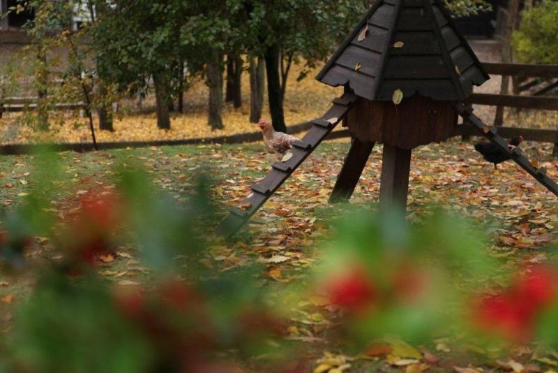 Vasilikia Mountain Farm & Retreat image