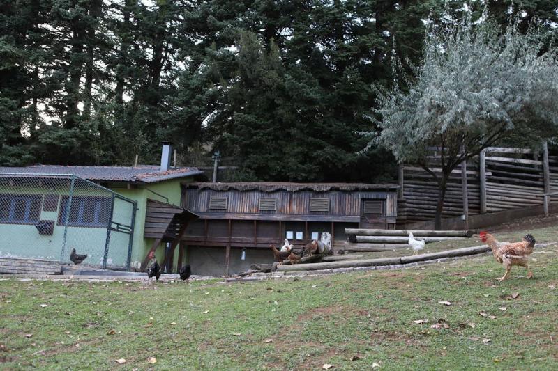 Vasilikia Mountain Farm & Retreat image
