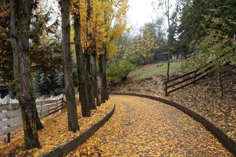 Vasilikia Mountain Farm & Retreat image