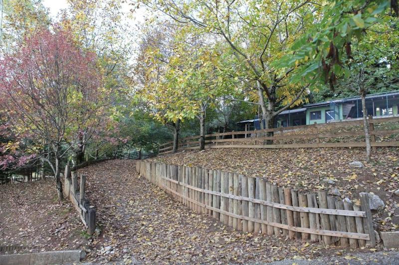 Vasilikia Mountain Farm & Retreat image