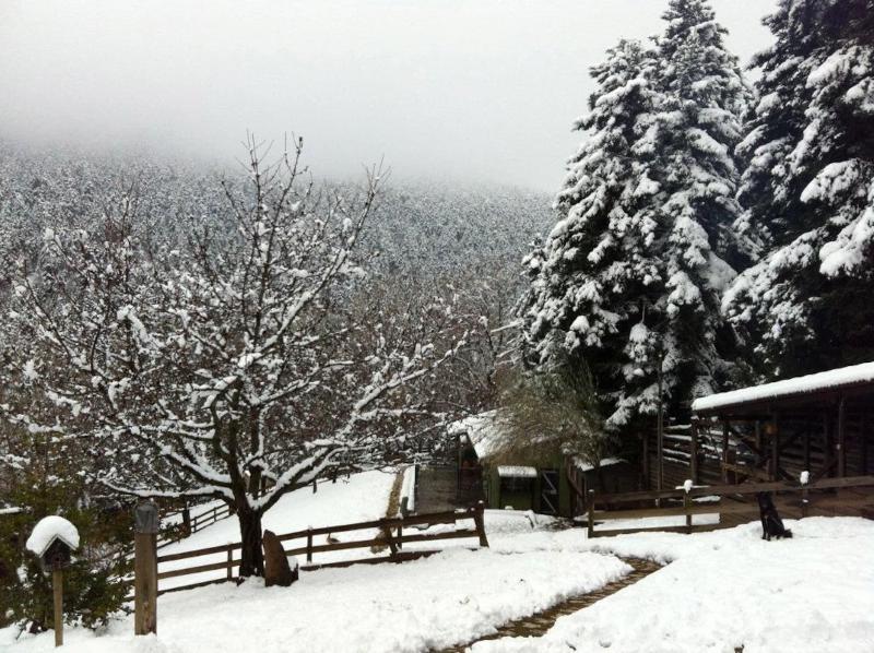 Vasilikia Mountain Farm & Retreat image