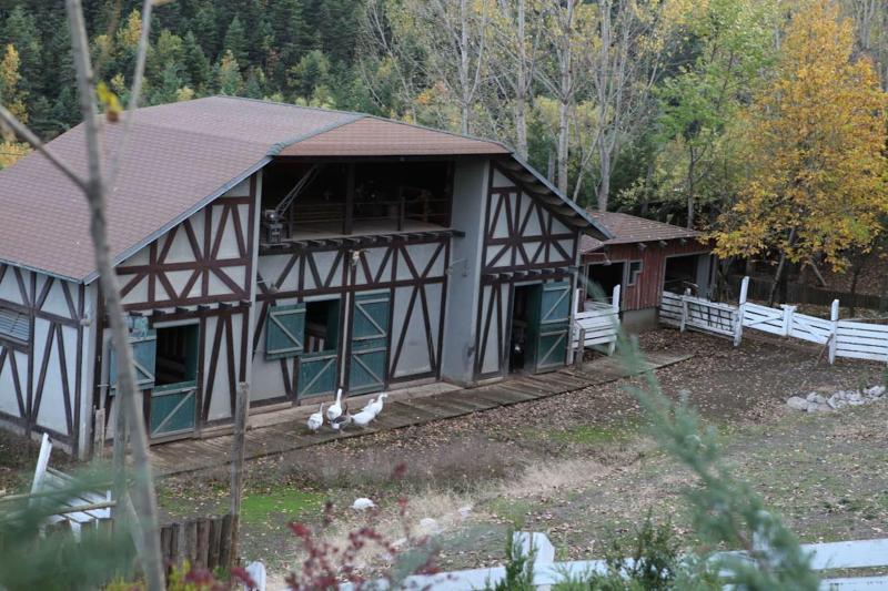 Vasilikia Mountain Farm & Retreat image