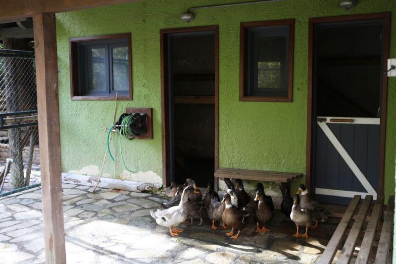 Vasilikia Mountain Farm & Retreat image