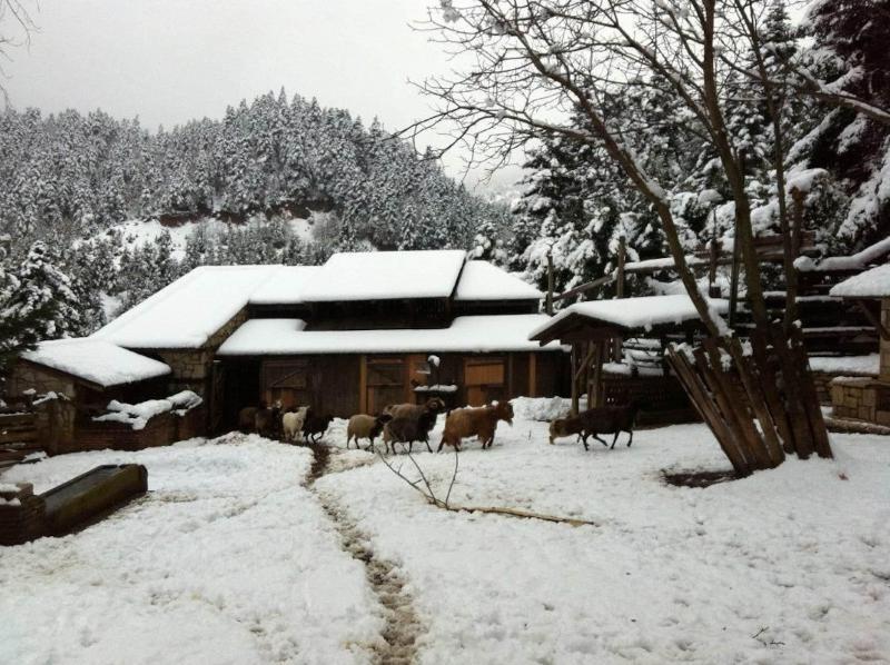 Vasilikia Mountain Farm & Retreat image