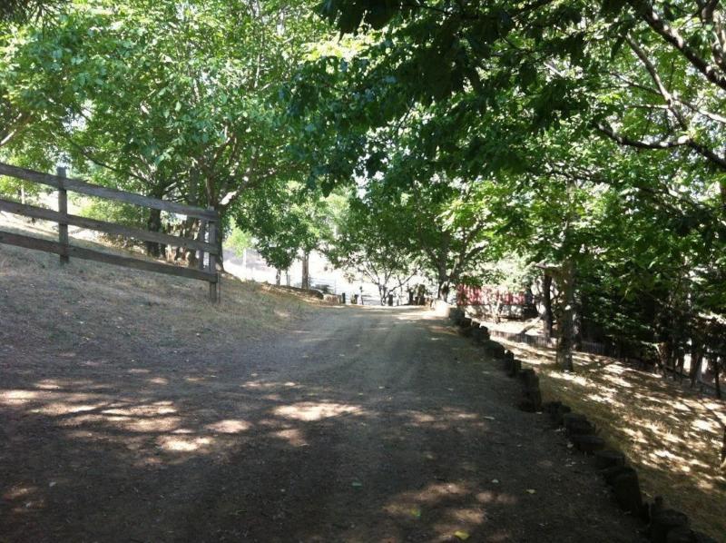 Vasilikia Mountain Farm & Retreat image