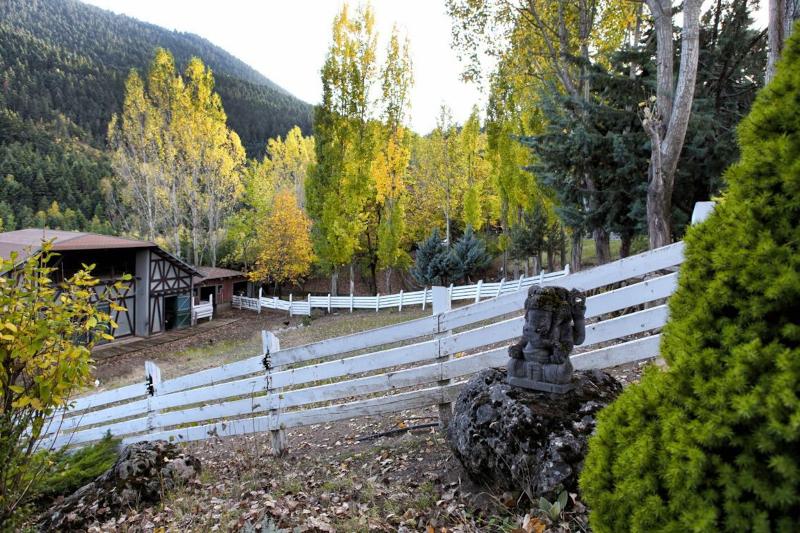 Vasilikia Mountain Farm & Retreat image