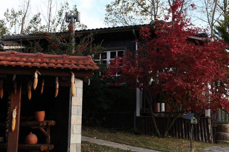 Vasilikia Mountain Farm & Retreat image