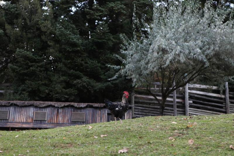Vasilikia Mountain Farm & Retreat image