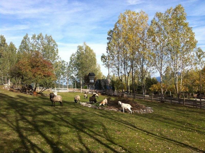 Vasilikia Mountain Farm & Retreat image