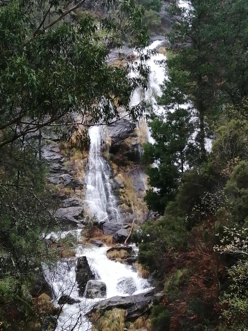 O Cruceiro image