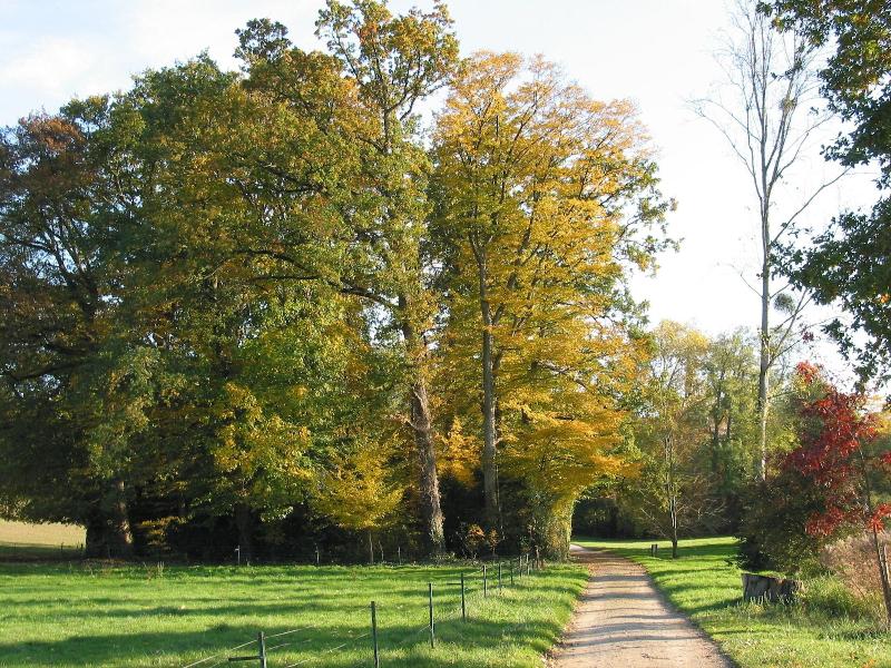 Chateau De Craon image
