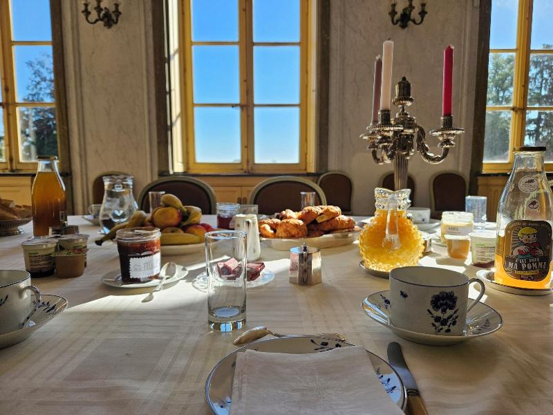 Chateau De Craon image