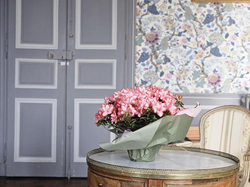 Chateau De Craon image