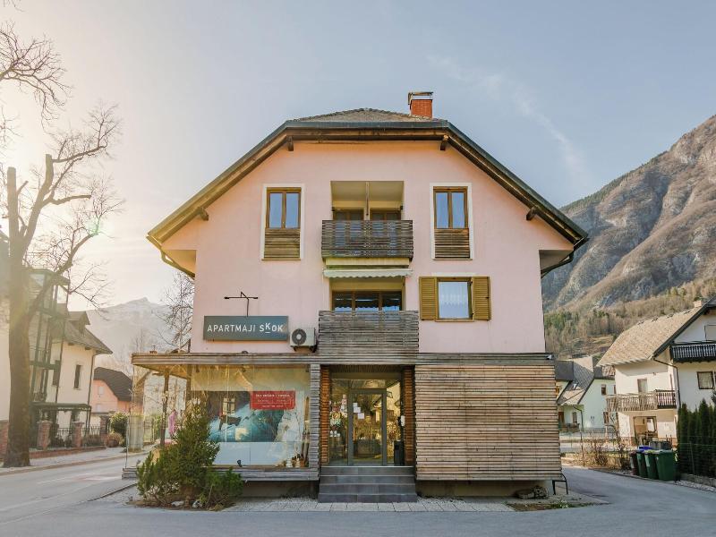 Apartmaji Skok image