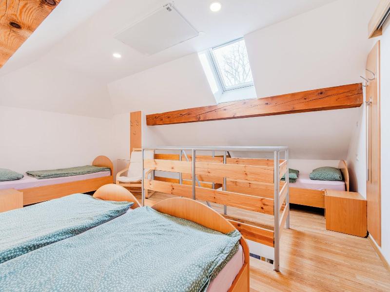 Apartmaji Skok image
